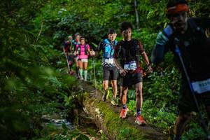 BIB: 9259
                            <button type="button" onclick="openModal(18923088)" class="btn btn-primary btn-sm float-right btn-popup" data-toggle="modal" data-target=".modal-high-quality">
                        <i class="fas fa-shopping-cart"></i> Add to Cart
                    </button>
                                            <button type="button" onclick="isThisMe(18923088, true)" class="btn btn-success btn-sm float-right btn-popup btn-isme hidden" data-toggle="tooltip" data-placement="bottom" title="นี่คือรูปของคุณใช่ไหม คลิกที่นี่เพื่อเอาเข้าอัลบั้ม">
                        <i class="fas fa-plus"></i> Add to album
                    </button>
                    <button type="button" onclick="isThisMe(18923088, false)" class="btn btn-warning btn-sm float-right btn-popup btn-isnotme hidden">
                        <i class="fas fa-ban"></i> Remove from album
                    </button>